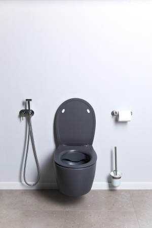 Чаша унитаза подвесная Allen Brau Fantasy 4.11004.AN цвет черный без сиденья безободковая каскадный смыв