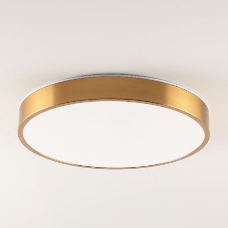 Светильник потолочный Zortes Tortty (Тортты) ZRS.02566.72