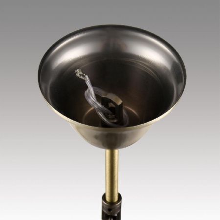Люстра подвесная Lumion Linn (Линн) 8190/5