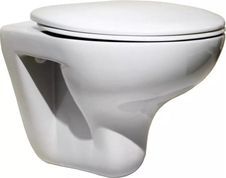 Чаша унитаза подвесная Roca Mateo 7.3462.0.000.0 цвет белый без сиденья каскадный смыв