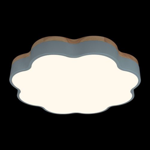 Светильник потолочный Loft It Axel 10225/36 Blue - фото 2