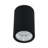 Уличный потолочный светильник Arte Lamp Torcular (Торцулар) A1807PF-1BK