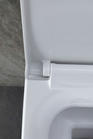 Чаша унитаза подвесная Allen Brau Infinity 4.21011.20 цвет белый без сиденья безободковая каскадный смыв