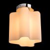 Светильник накладной Arte Lamp Serenata (Серената) A3479PL-1CC