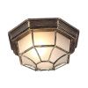 Уличный потолочный светильник Arte Lamp Pegasus (Пегасус) A3121PF-1BN