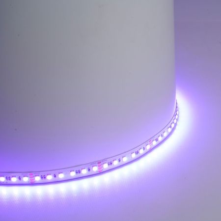 Светодиодная лента Feron LS501 51823