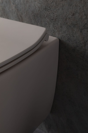 Чаша унитаза подвесная Allen Brau Fantasy 4.11004.IV цвет бежевый без сиденья безободковая каскадный смыв