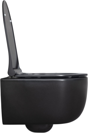 Чаша унитаза подвесная Allen Brau Priority 4.31002.31 цвет черный матовый без сиденья безободковая каскадный смыв