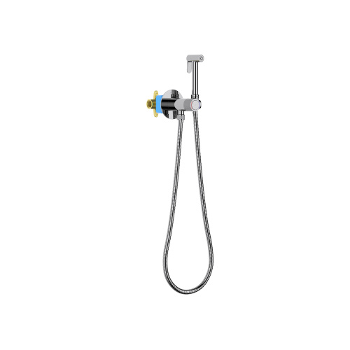 Гигиенический душ Aquatek БЕТТА AQ1023CR хром