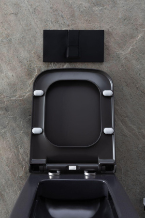 Чаша унитаза подвесная Allen Brau Infinity 4.21011.AN цвет черный без сиденья безободковая каскадный смыв