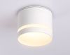 Светильник накладной Ambrella Light IP Protect (ИП Протецт) TN6571