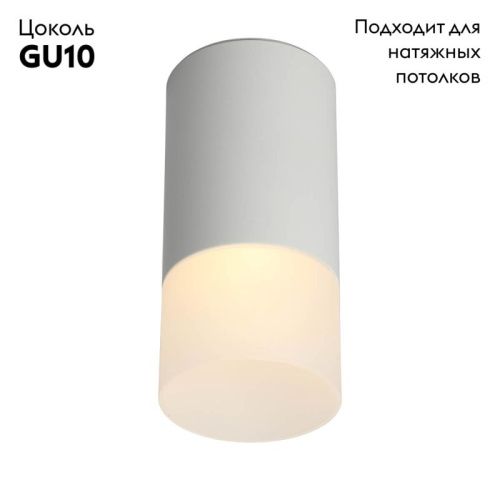Настенно-потолочный светильник Omnilux Lucido (Луцидо) OML-100609-01 - фото 2
