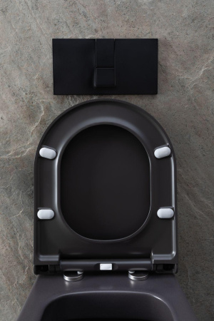 Чаша унитаза подвесная Allen Brau Priority 4.31002.AN цвет черный без сиденья безободковая каскадный смыв