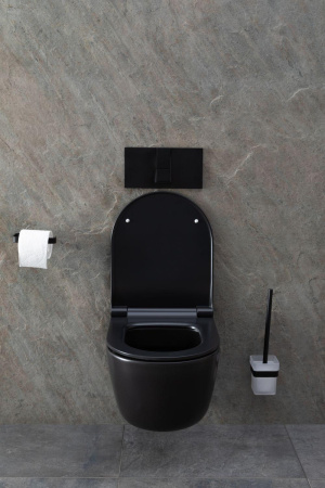 Чаша унитаза подвесная Allen Brau Priority 4.31002.31 цвет черный матовый без сиденья безободковая каскадный смыв