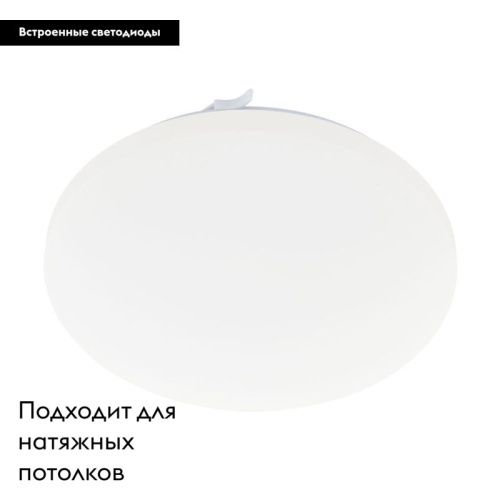 Настенно-потолочный светильник Eglo Frania (Франиа) 97873 - фото 2