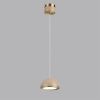 Светильник подвесной Odeon Light Lulu (Лулу) 5453/6L