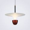 Светильник подвесной LED4U L8755-1 BR