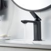 Смеситель Shevanik S8901H-1 на раковину черный