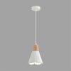 Светильник подвесной Lumion Eoliana (Еолиана) 8352/1B