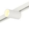 Трековый магнитный светильник Myfar Ray (Раы) MT0220-18W3K-W