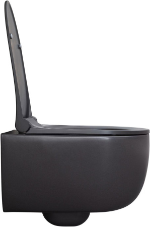 Чаша унитаза подвесная Allen Brau Priority 4.31002.AN цвет черный без сиденья безободковая каскадный смыв