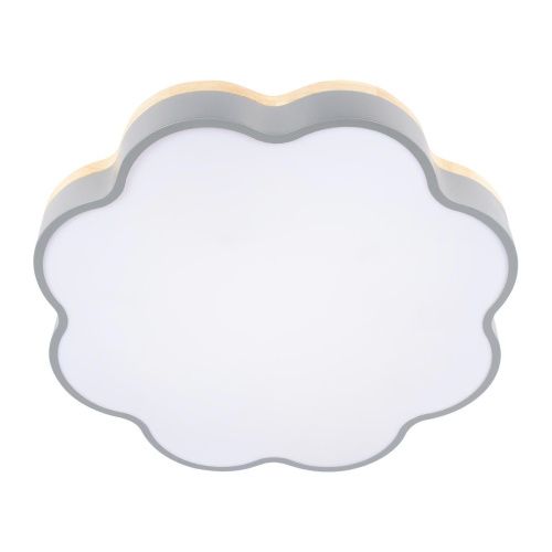 Светильник потолочный Loft It Axel 10225/36 Grey - фото 5