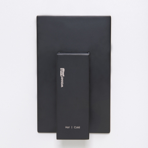 Смеситель для душа WasserKRAFT Abens 2000 2051 встраиваемый черный - фото 2