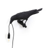 Светильник настенный Seletti Bird Lamp (Бирд Ламп) 14737