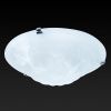 Настенно-потолочный светильник Toplight Clare (Цларе) TL9101Y-02TR