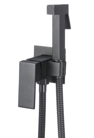 Смеситель с гигиеническим душем D-Lin D183201-A настенный черный