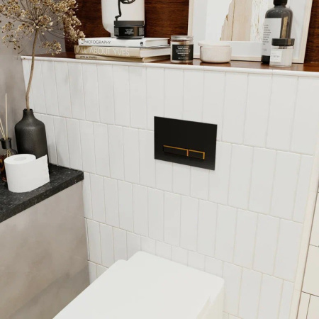 Клавиша смыва механическая Lavinia Boho RelFix 38050801 цвет черный матовый/золото