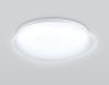 Светильник потолочный Ambrella Light Air (Аир) FZ1601