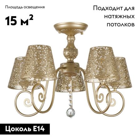 Люстра потолочная Myfar Luna (Луна) MR1314-5C