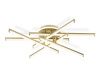 Светильник потолочный Ambrella Light LineTech (ЛинеТецх) FL6254