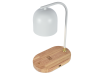 Настольная лампа Zortes DeskLight (ДескЛигхт) ZRS.1066.02