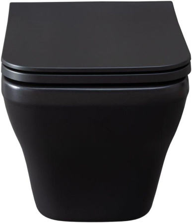 Чаша унитаза подвесная Allen Brau Infinity 4.21011.31 цвет черный матовый без сиденья безободковая каскадный смыв