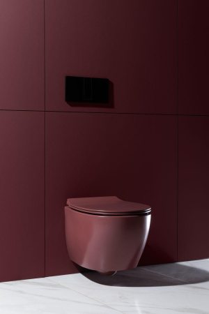 Чаша унитаза подвесная Allen Brau Fantasy 4.11004.BD цвет красный без сиденья безободковая каскадный смыв