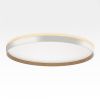 Светильник накладной Citilux Etalon (Еталон) CL750500R