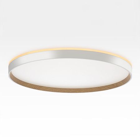 Светильник накладной Citilux Etalon (Еталон) CL750500R