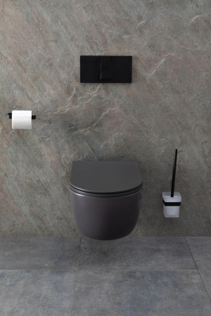 Чаша унитаза подвесная Allen Brau Priority 4.31002.AN цвет черный без сиденья безободковая каскадный смыв