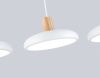 Светильник подвесной Ambrella Light LineTech (ЛинеТецх) FL4840