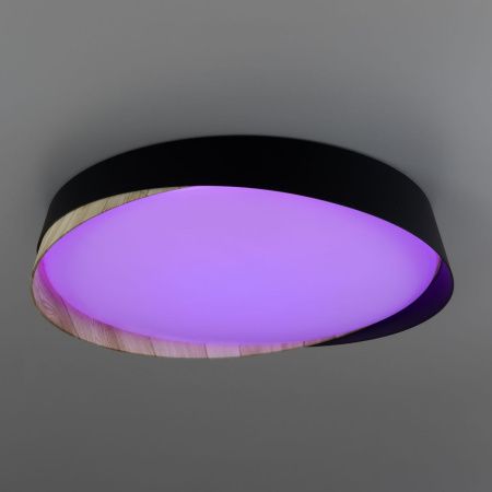 Светильник потолочный музыкальный Citilux Bonny (Бонны) CL754351G