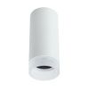 Светильник накладной Arte Lamp Ogma (Огма) A5556PL-1WH