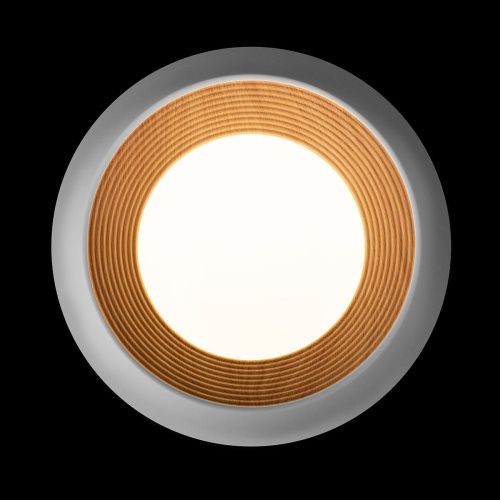 Светильник потолочный Loft It Folk 10255/350 White - фото 3