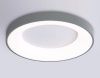 Светильник потолочный Ambrella Light Design (Десигн) FZ1402