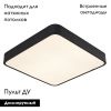 Светильник потолочный Arte Lamp Scena (Сцена) A2663PL-1BK