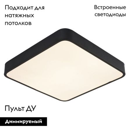 Светильник потолочный Arte Lamp Scena (Сцена) A2663PL-1BK
