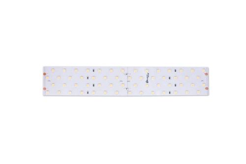 Светодиодная лента Designled DSG2280 00-00000531 - фото 3