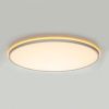 Светильник потолочный Citilux Norma (Норма) CL749600