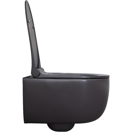 Чаша унитаза подвесная Allen Brau Priority 4.31002.AN цвет черный без сиденья безободковая каскадный смыв